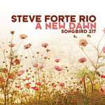 Cover: Steve Forte Rio - A new dawn